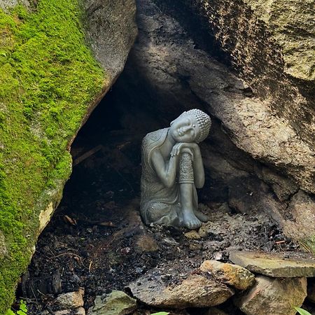 Sentiero Verde B&B Formazza Dış mekan fotoğraf